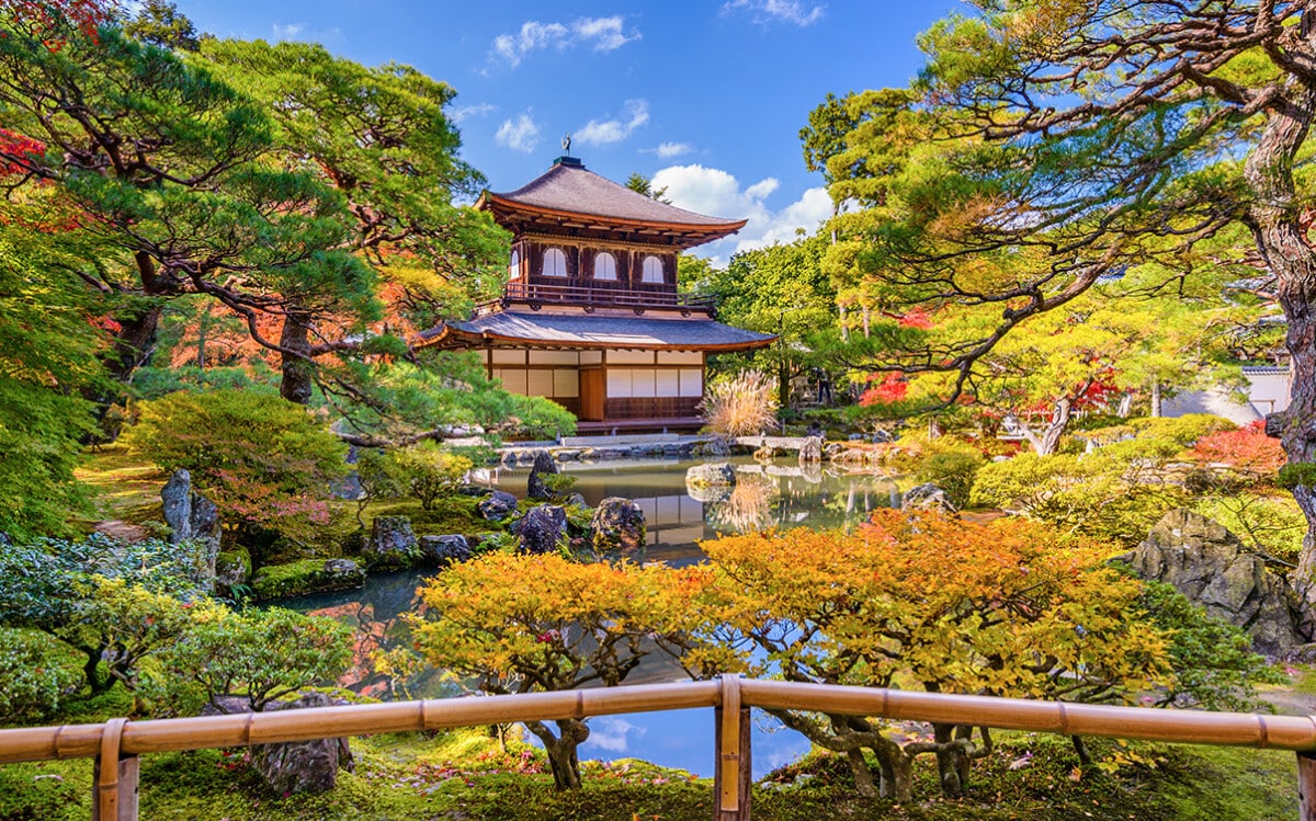 JAPAN SAKURA JOURNEY