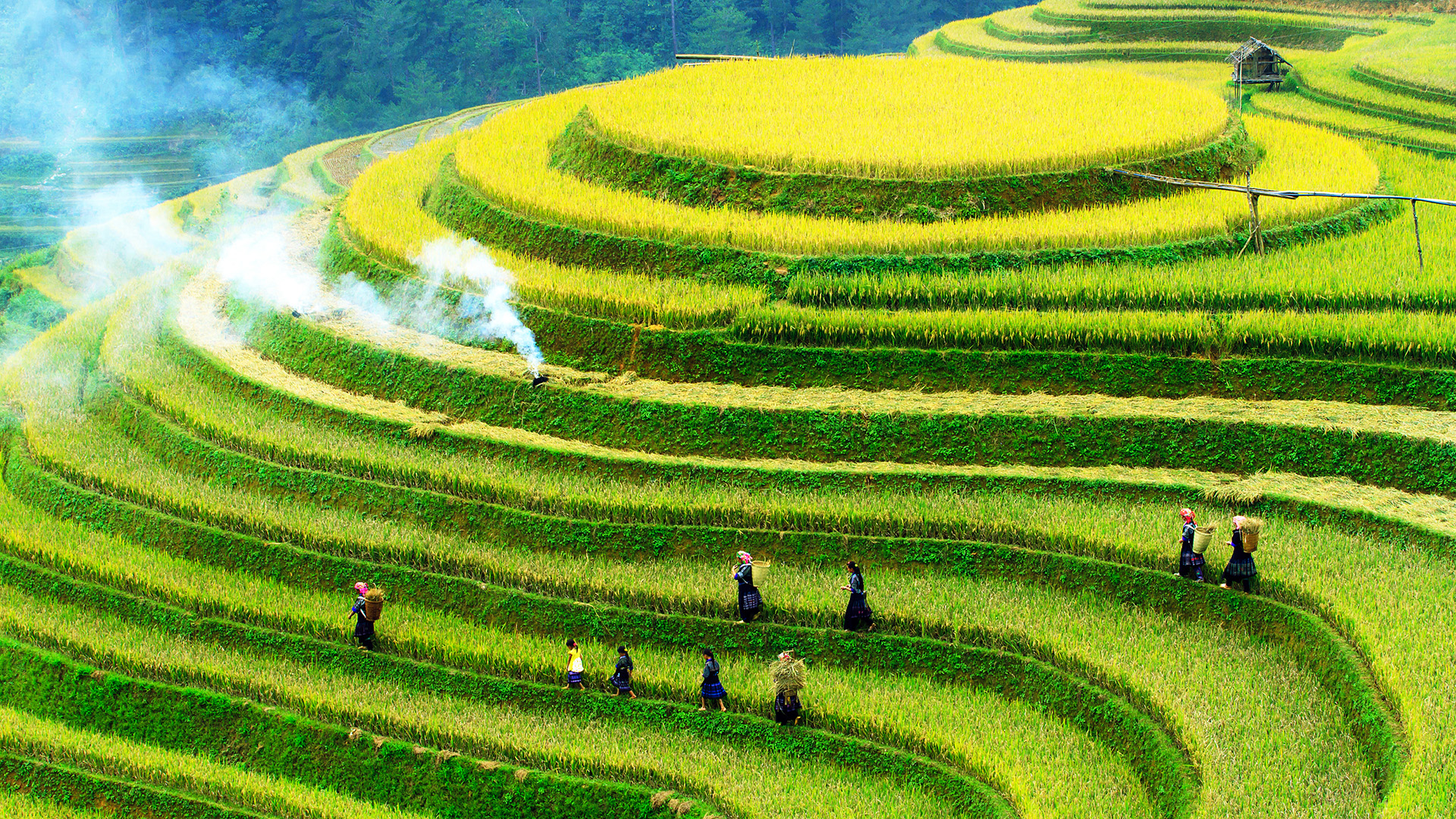 WELLNESS AND SPIRITUALITY IN VIETNAM